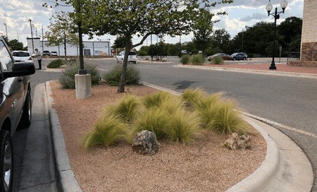 Figure 17. Interior Parking Lot Landscaping